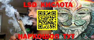 прущие грибы Кулебаки