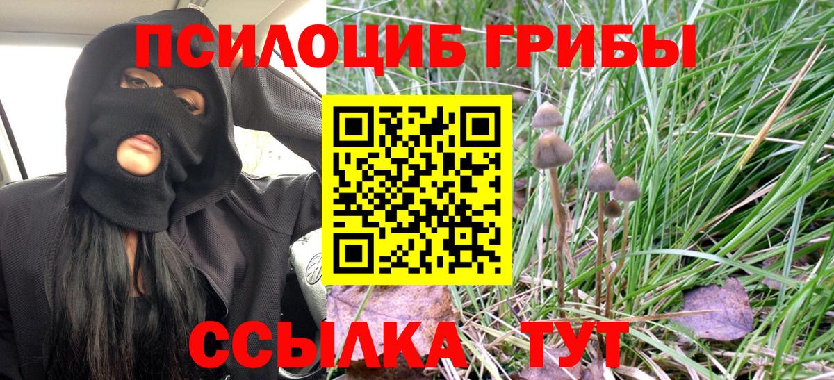 Галлюциногенные грибы GOLDEN TEACHER  Вход с VPN  цена наркотик  Лесозаводск 